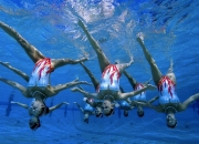 莎拉波娃重返赛场，败北首场状态出色，塞尔维亚队观众沸腾！全场沸腾不已