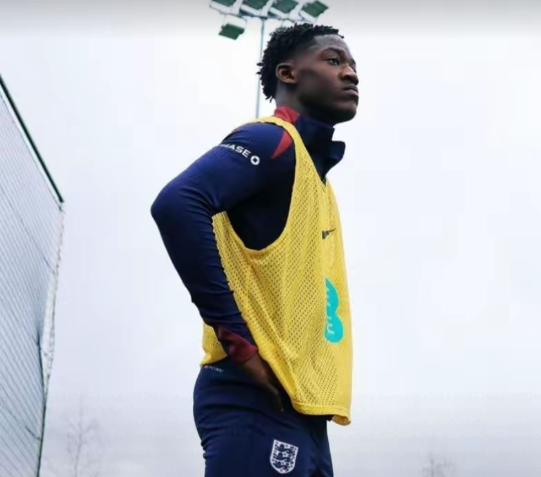 南安普顿老将因伤告别赛季,感动球迷赞誉 南安普顿老将因伤告别赛季,感动球迷赞誉